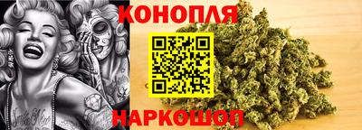 сатива Краснодар
