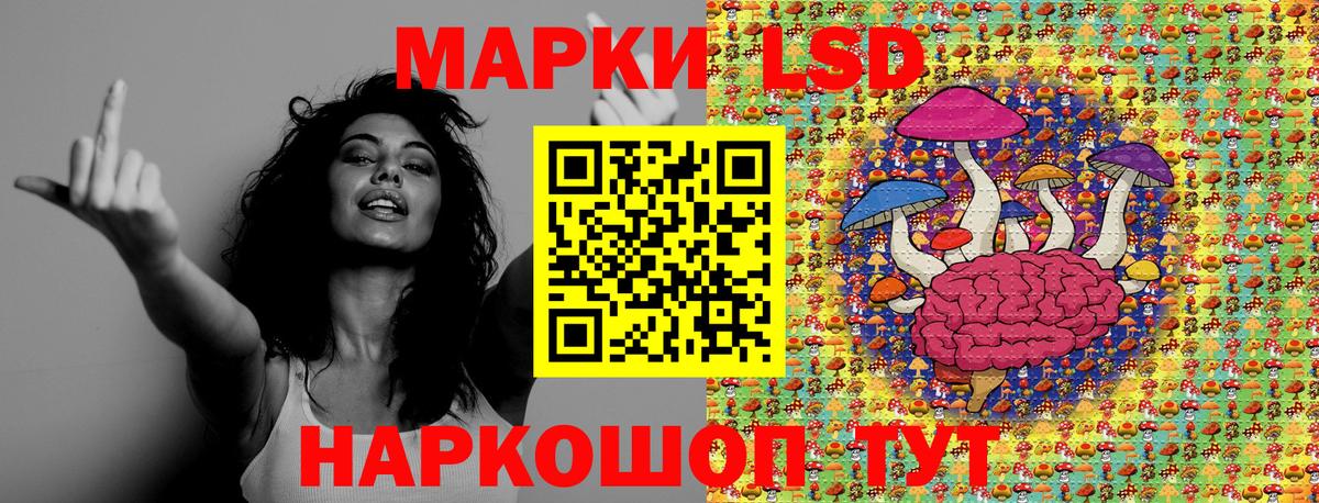 цены   Марки N-bome 1,5мг  Вход с VPN  Канск 